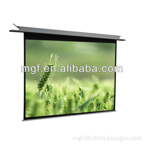 Hide in the Ceiling Motorized Projector Screen Film